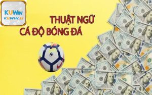 Thuật ngữ bóng đá là gì?