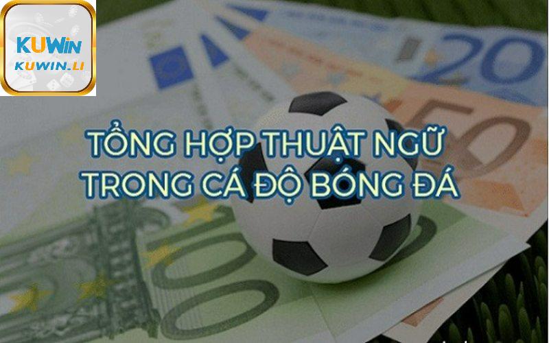 Thuật ngữ cá độ thường thấy trong kèo châu Âu